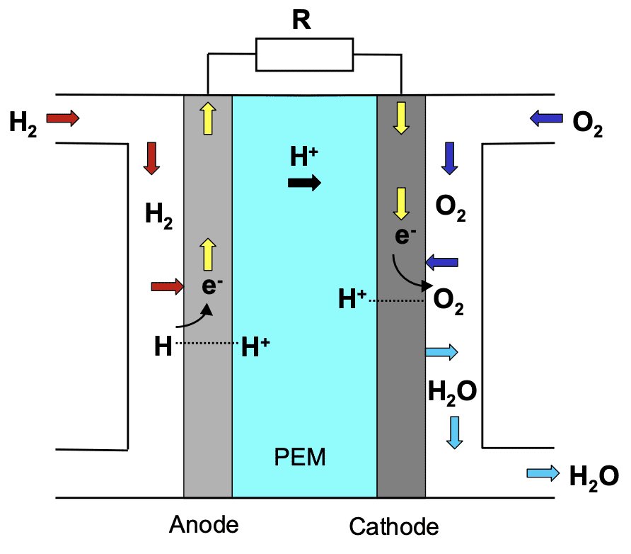 Illustration of the working principle of a proton exchange membrane (PEM) fuel cell